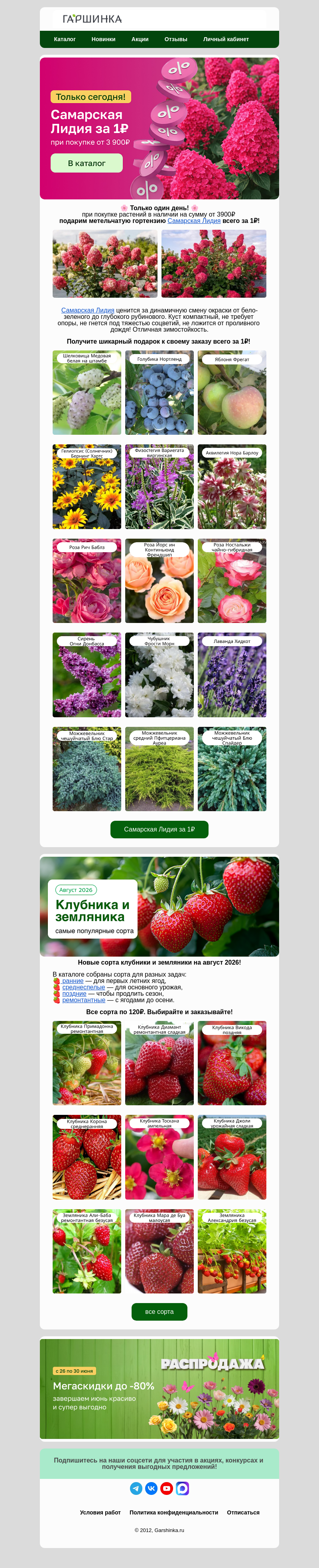 Письмо компании «Гаршинка.ру» на тему «📢Только сегодня! Самарская Лидия за 1₽😍»