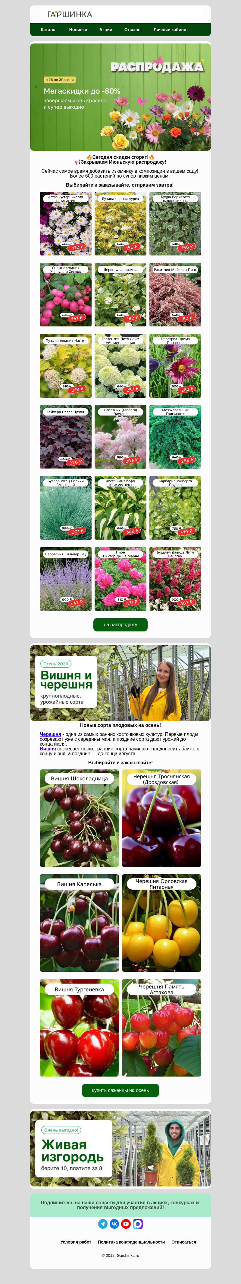 Письмо компании «Гаршинка.ру» на тему «📢Торопитесь! Июньская распродажа заканчивается!⏳»