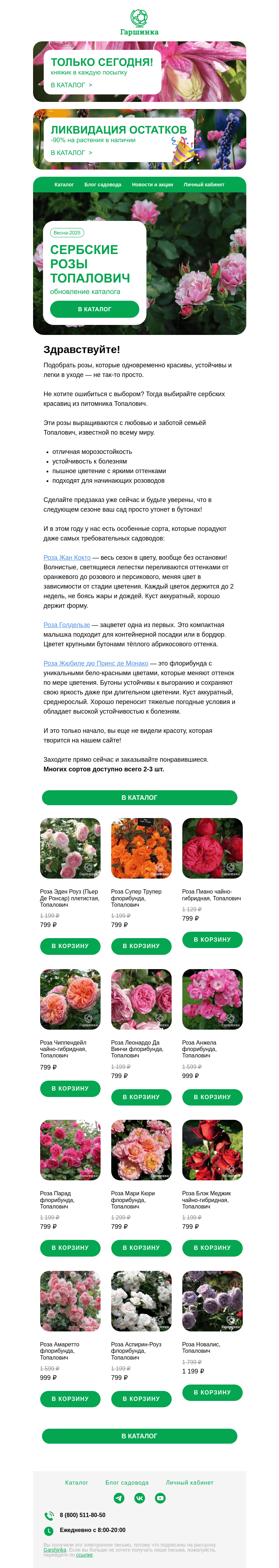 Письмо компании «Гаршинка.ру» на тему «🇷🇸🌹 Сербские розы Топалович на весну-2025»