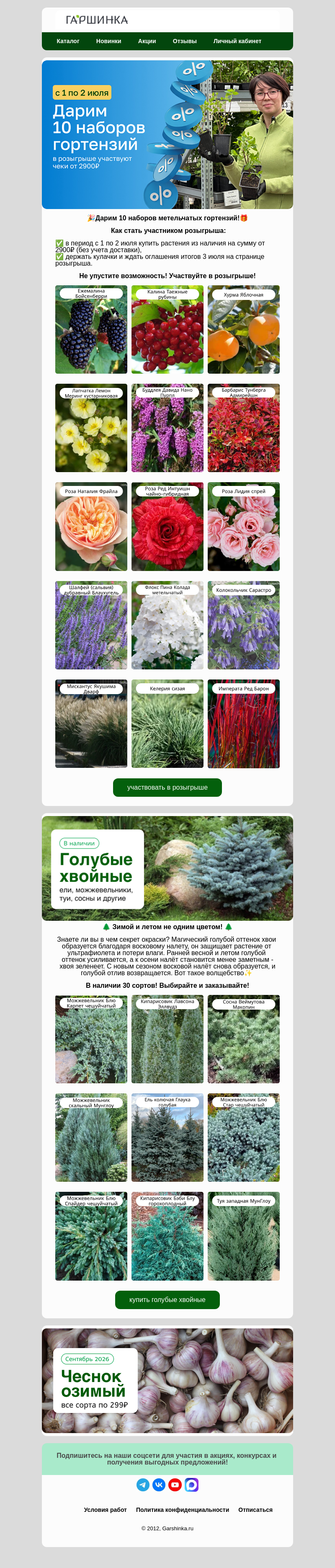 Письмо компании «Гаршинка.ру» на тему «🎉Розыгрыш🎁Дарим 10 наборов гортензий!»