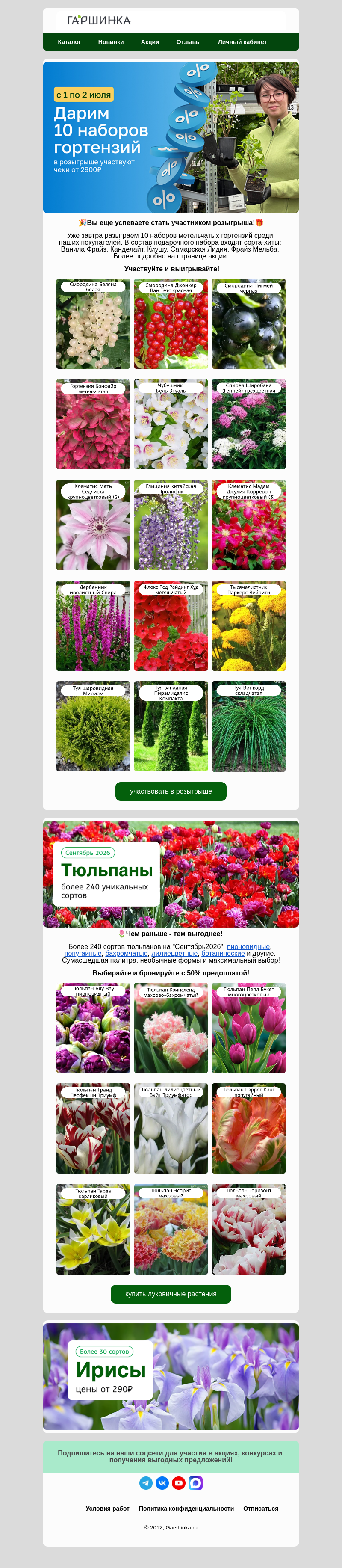 Письмо компании «Гаршинка.ру» на тему «🎁Участвуйте в розыгрыше! Осталось пару часов🔥»