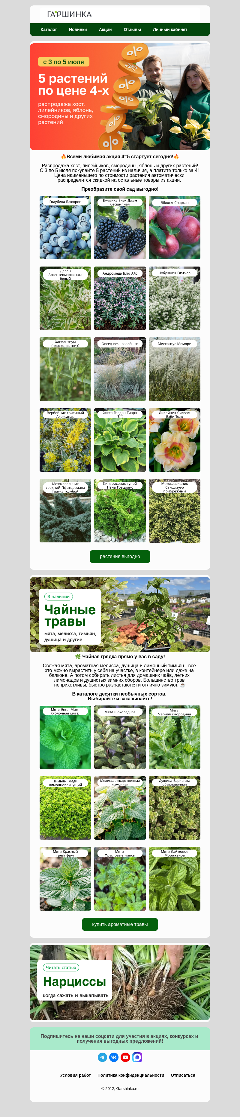 Письмо компании «Гаршинка.ру» на тему «🚀Стартуем сегодня!🔥5 по цене 4-х🔥»
