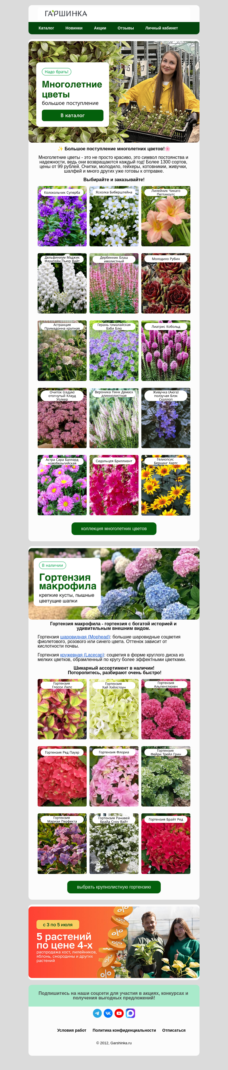 Письмо компании «Гаршинка.ру» на тему «💥Большое поступление многолетних цветов🌼»