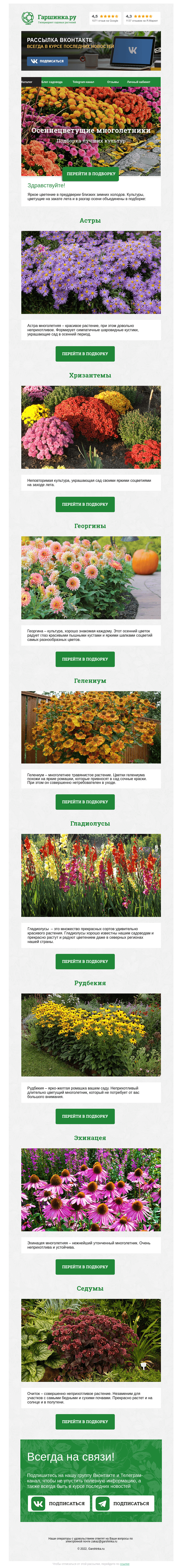 Письмо компании «Гаршинка.ру» на тему «🌸🌿🌻 Осеннецветущие многолетники»