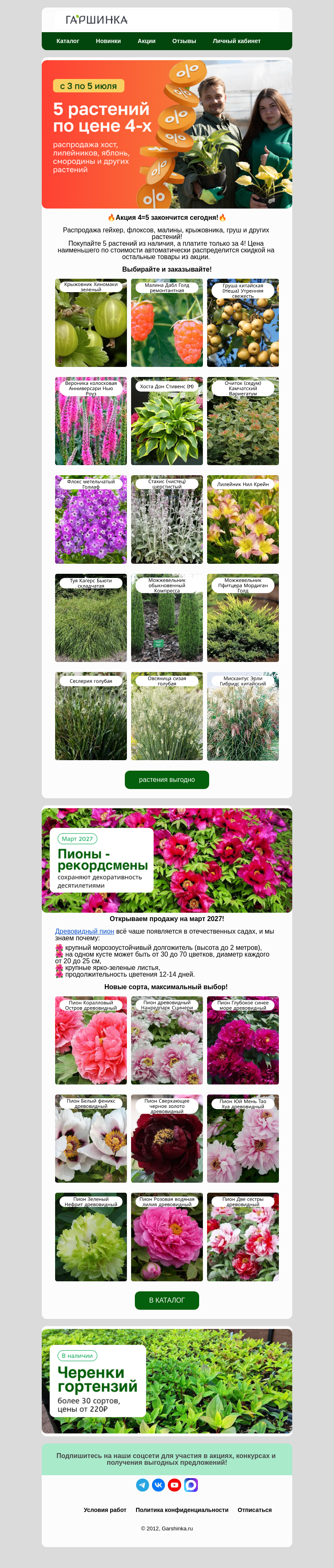 Письмо компании «Гаршинка.ру» на тему «🔥Акция 4=5 закончится сегодня🏁»