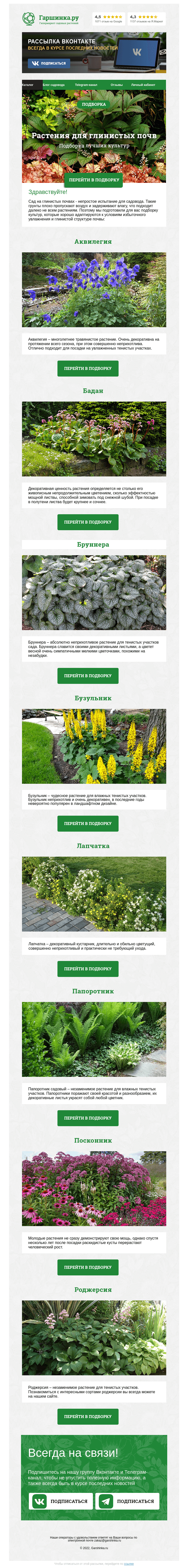 Письмо компании «Гаршинка.ру» на тему «🌾🌼🌳 Растения для глинистых почв»