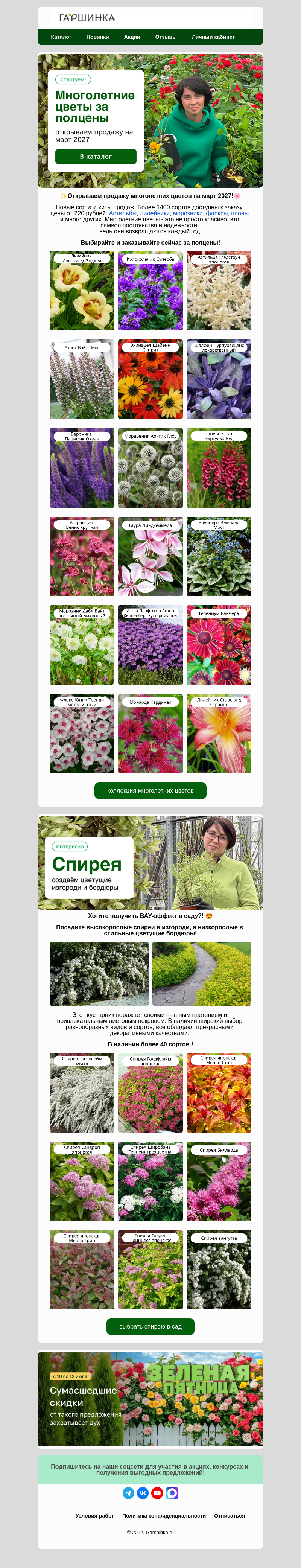 Письмо компании «Гаршинка.ру» на тему «💥Новое в каталоге! Многолетние цветы на март'27🌼»