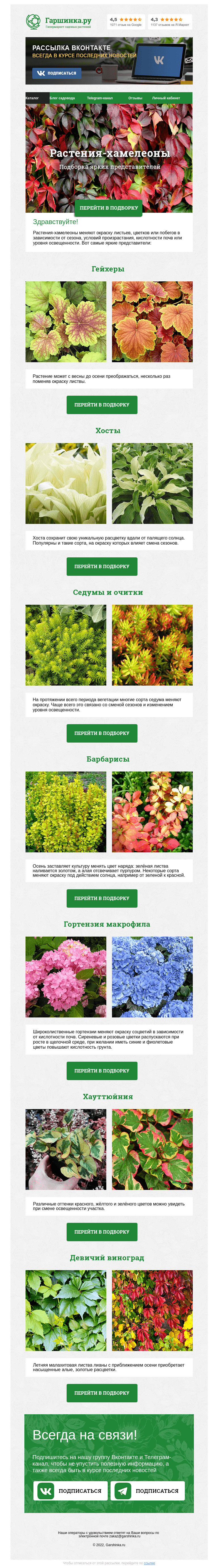 Письмо компании «Гаршинка.ру» на тему «🌱🌾🍃 Растения-хамелеоны»