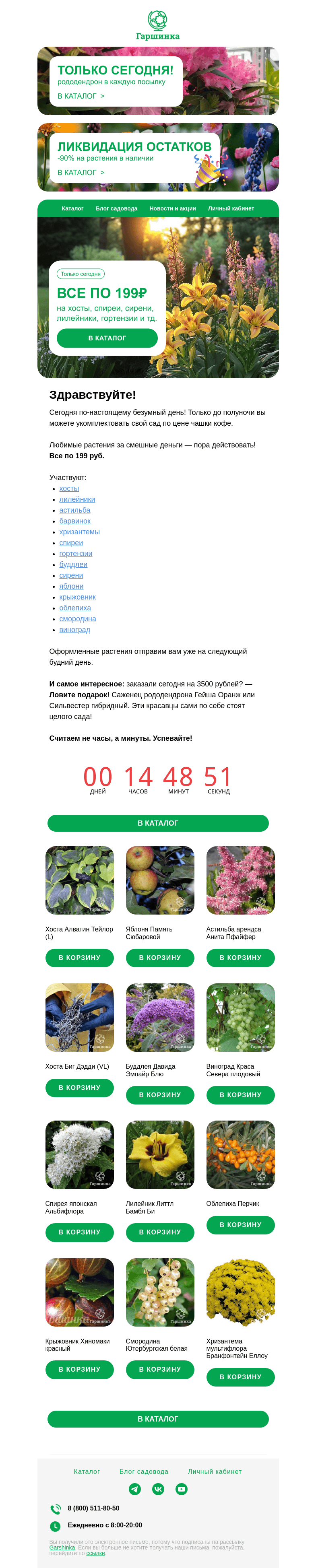 Письмо компании «Гаршинка.ру» на тему «🚨 Только сегодня! Все по 199 руб. + подарок в каждую посылку»