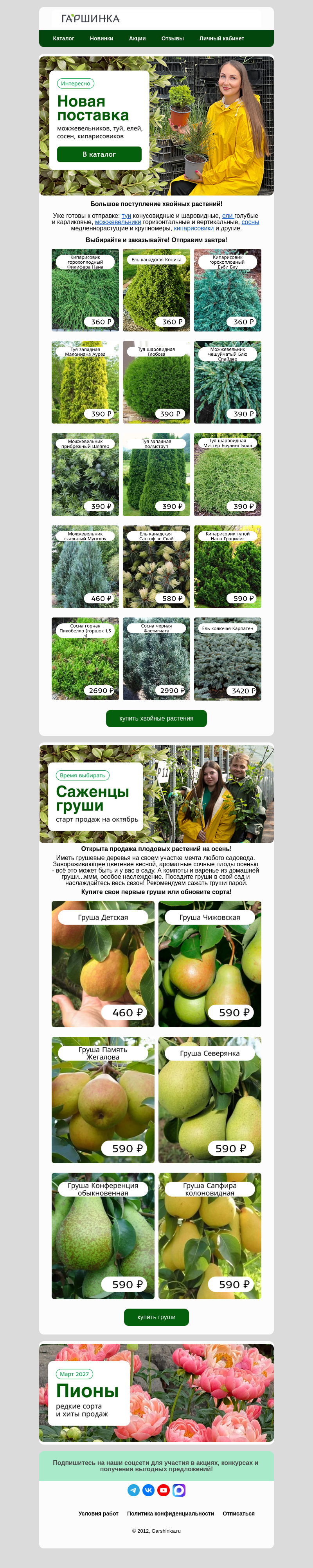 Письмо компании «Гаршинка.ру» на тему «🚚Большая поставка хвойных растений🌲»