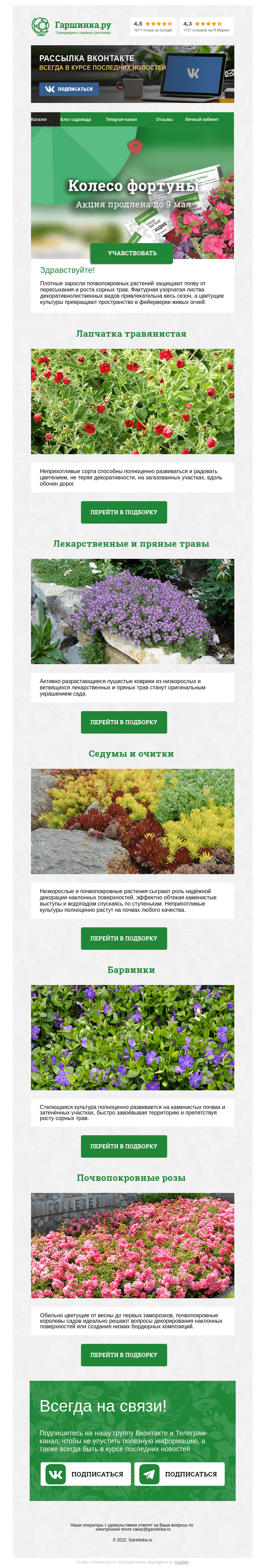Письмо компании «Гаршинка.ру» на тему «🌿🌸🌱 Лучшие почвопокровные для вашего сада»