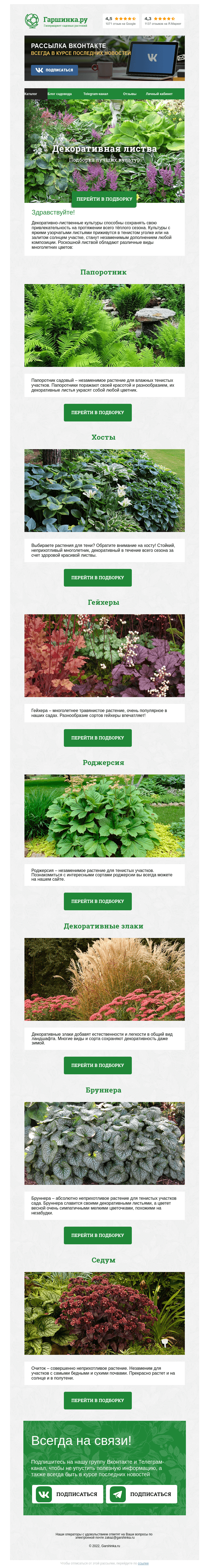 Письмо компании «Гаршинка.ру» на тему «🌿🍃🌾 Растения с декоративной листвой»