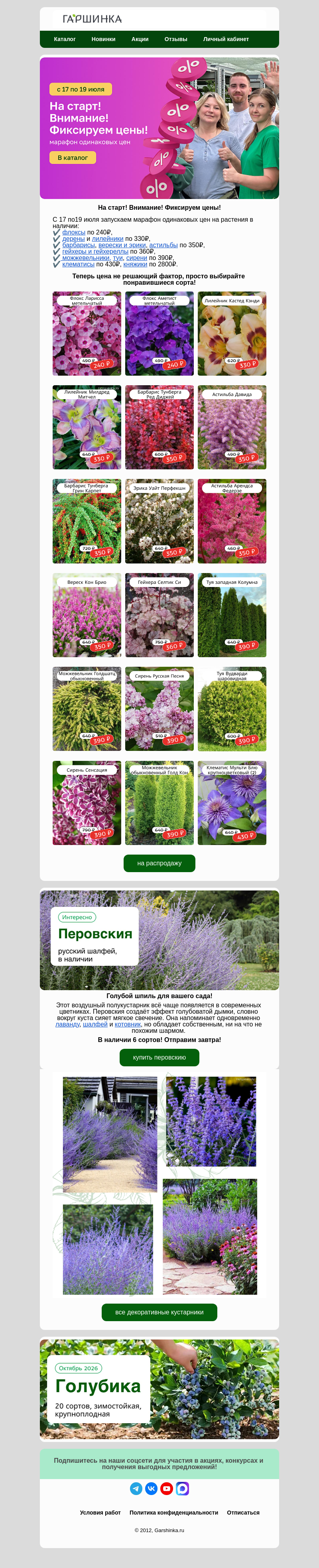 Письмо компании «Гаршинка.ру» на тему «🏁На старт! Внимание! Фиксируем цены!»