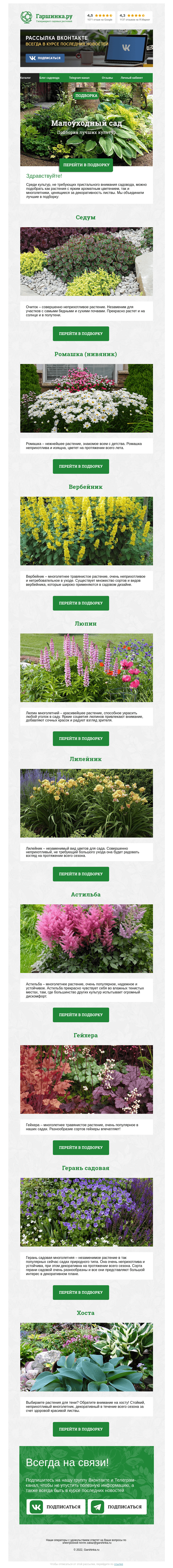 Письмо компании «Гаршинка.ру» на тему «🌱🌺🌾 Растения для малоуходного сада»