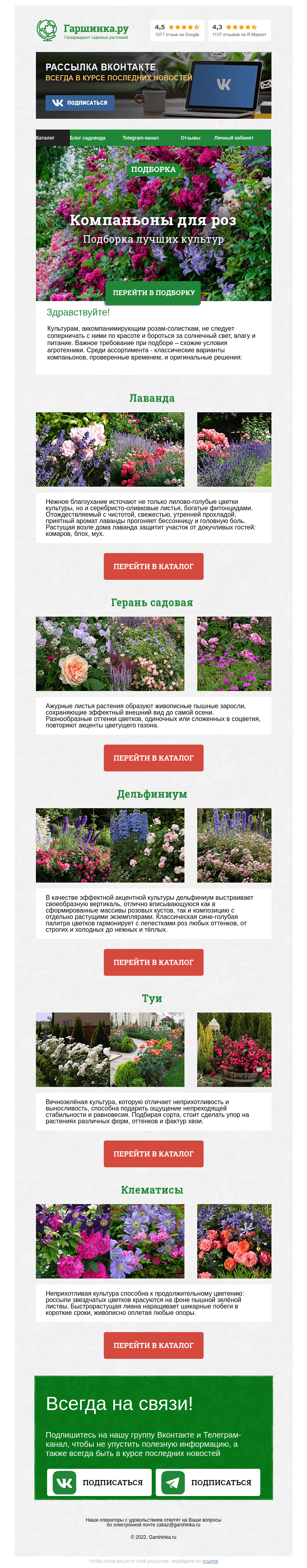 Письмо компании «Гаршинка.ру» на тему «🌹 Компаньоны для роз»