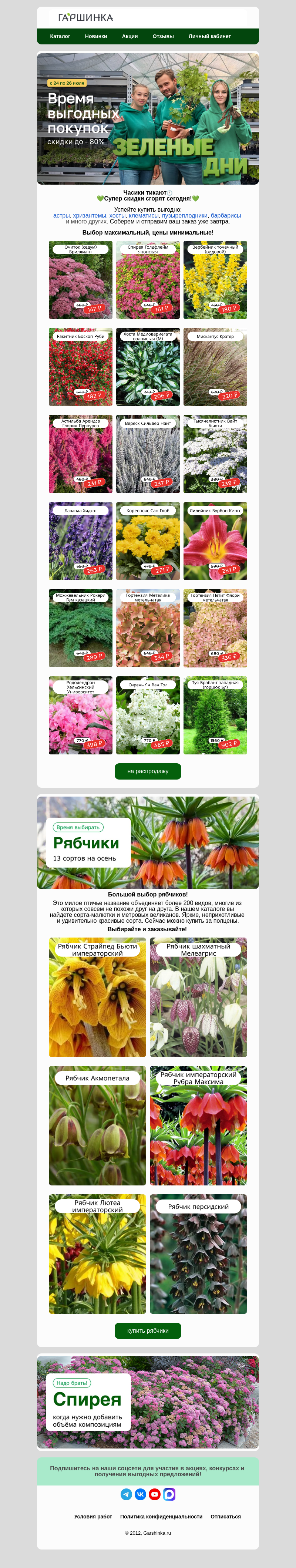 Письмо компании «Гаршинка.ру» на тему «🔥Скидки сгорят сегодня! Зеленые дни заканчиваются💚»