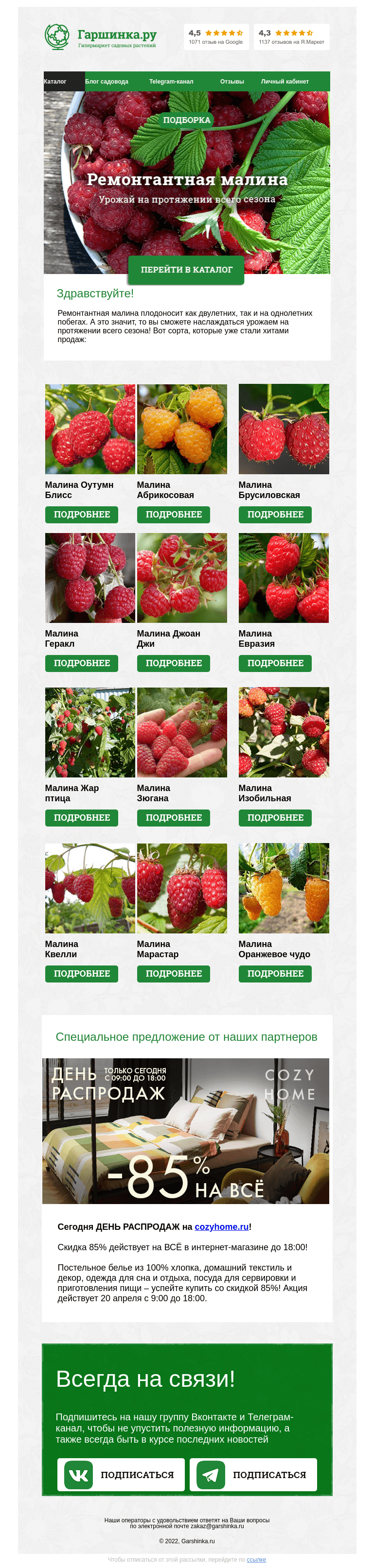 Письмо компании «Гаршинка.ру» на тему «🌿 Ремонтантная малина - урожай весь сезон!»