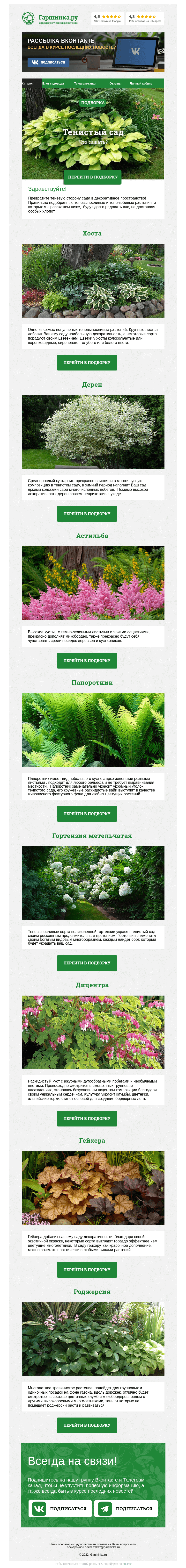Письмо компании «Гаршинка.ру» на тему «🌸🌱 Растения для тенистых участков»