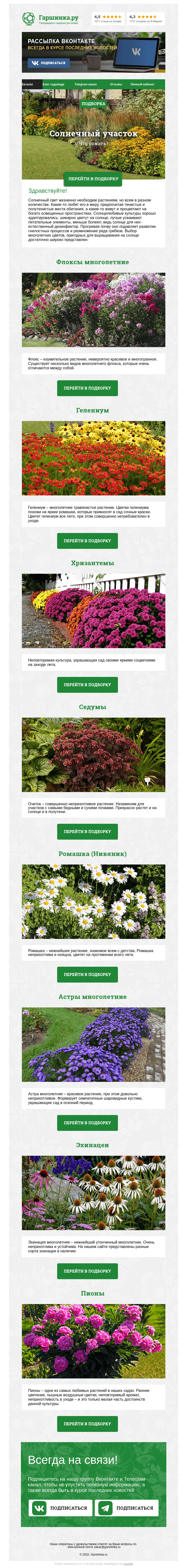 Письмо компании «Гаршинка.ру» на тему «☀🌸🌿 Растения для солнечных участков»