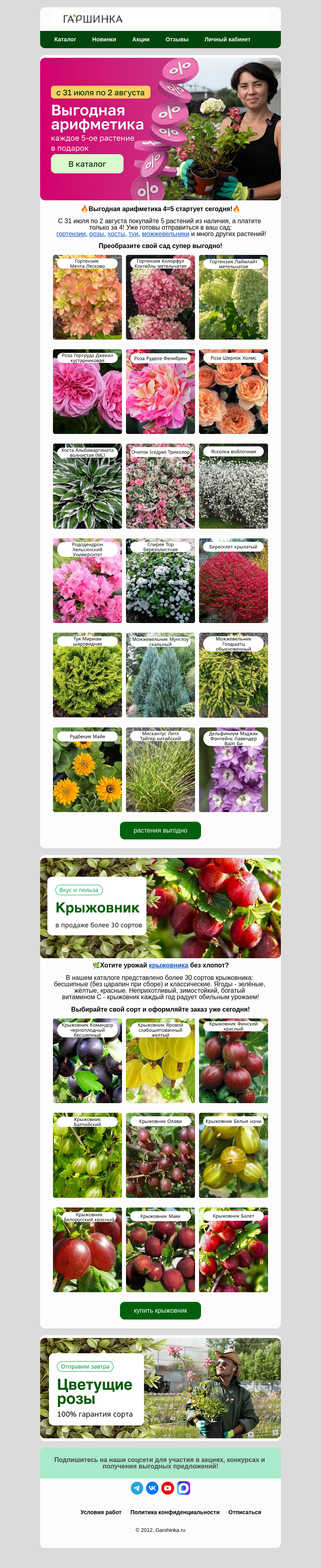 Письмо компании «Гаршинка.ру» на тему «🏁Стартуем! Выгодная арифметика 4=5 на Гаршинка.ру»