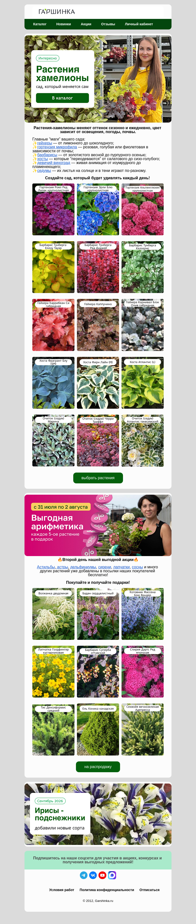 Письмо компании «Гаршинка.ру» на тему «✨Растения хамелионы. Сад, который меняется сам»