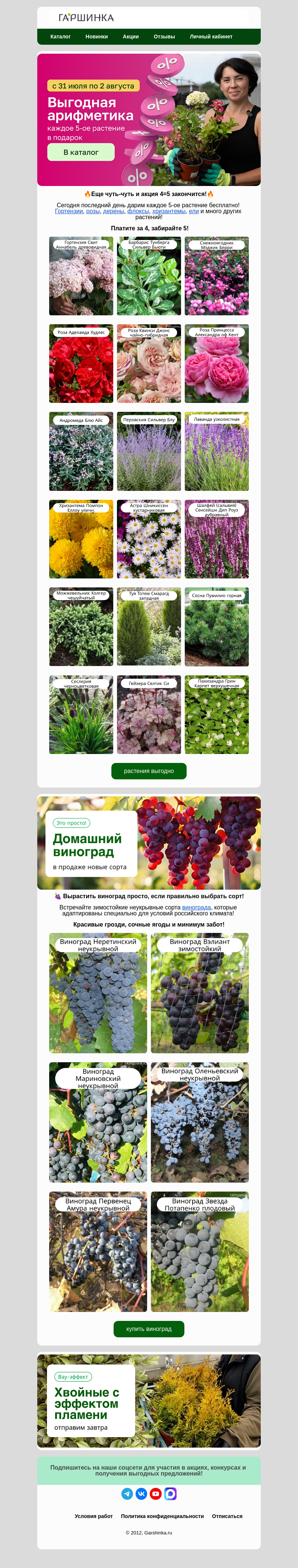 Письмо компании «Гаршинка.ру» на тему «📢4=5 заканчивается сегодня! Запрыгивайте в последний вагон!»