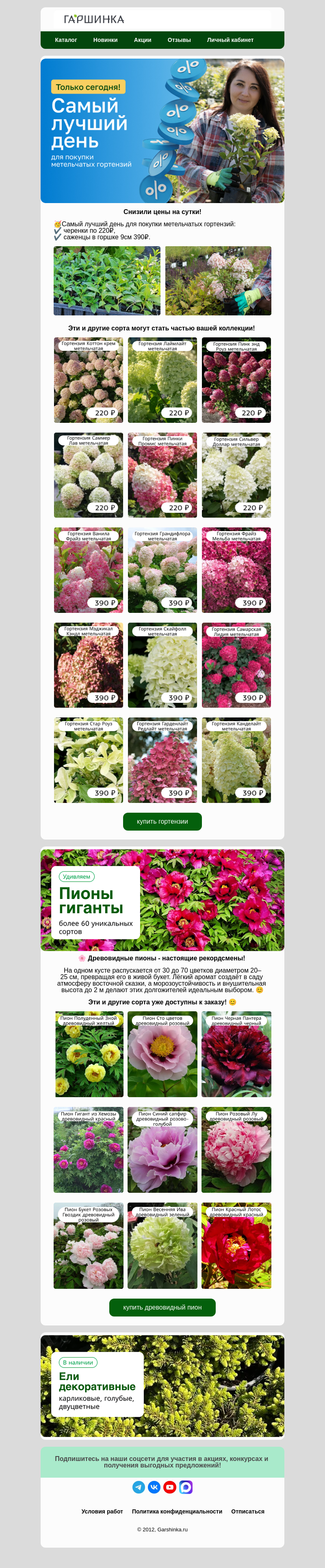 Письмо компании «Гаршинка.ру» на тему «🥳Самый лучший день! Гортензии по 220₽ и 390₽🔥»