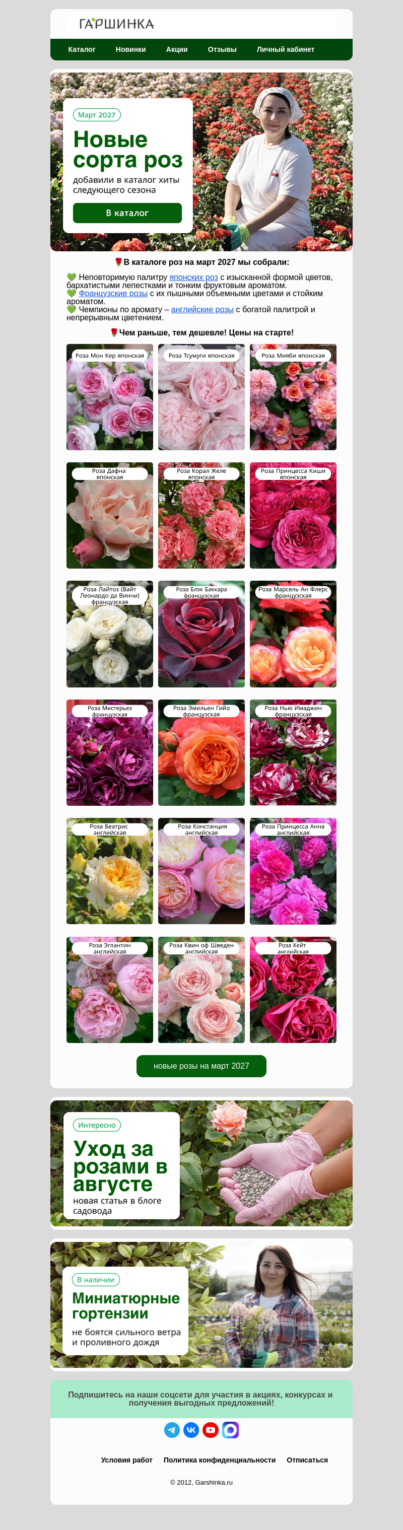 Письмо компании «Гаршинка.ру» на тему «🌹Новые розы на март 2027! 100% хиты следующего сезона»