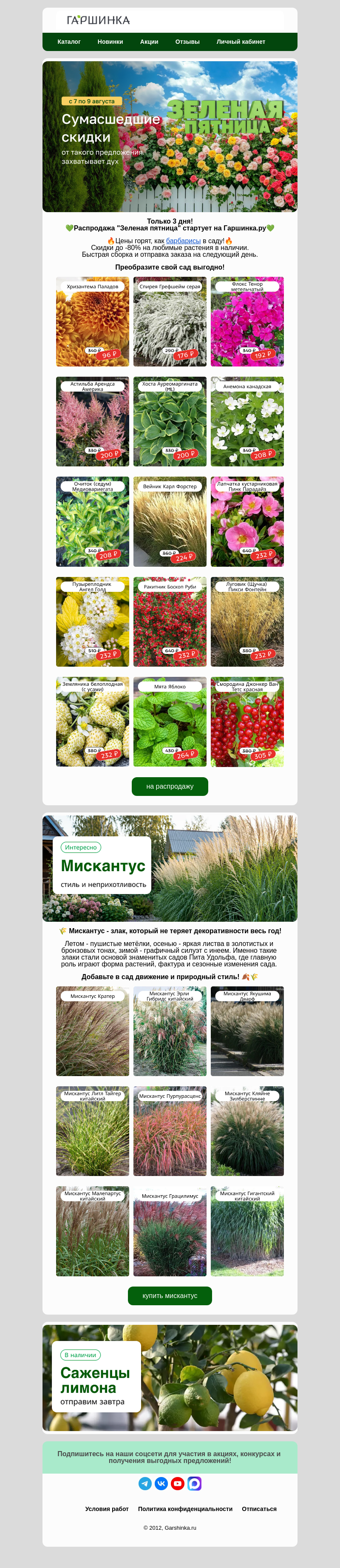 Письмо компании «Гаршинка.ру» на тему «🏁Стартуем!💚Зеленая пятница на Гаршинка.ру»