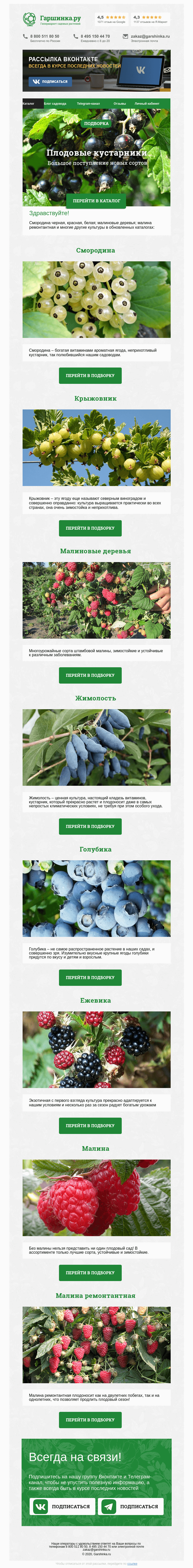 Письмо компании «Гаршинка.ру» на тему «🚛 Большое поступление плодовых»