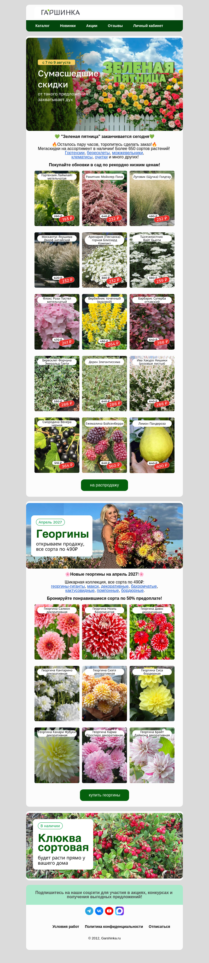 Письмо компании «Гаршинка.ру» на тему «🔥Счет на часы!💚Зеленая пятница заканчивается»
