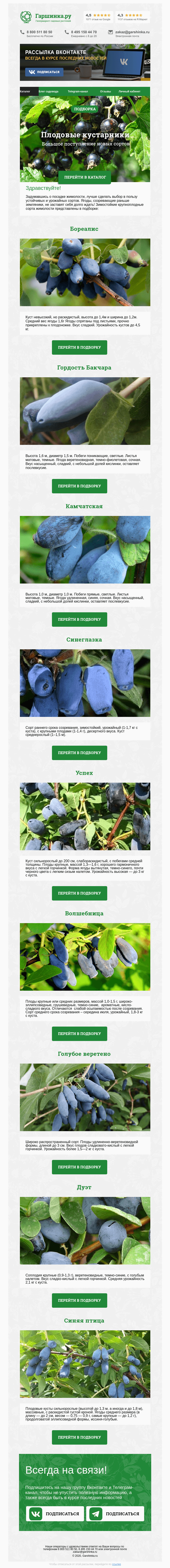 Письмо компании «Гаршинка.ру» на тему «🌿 Лучшие сорта жимолости»