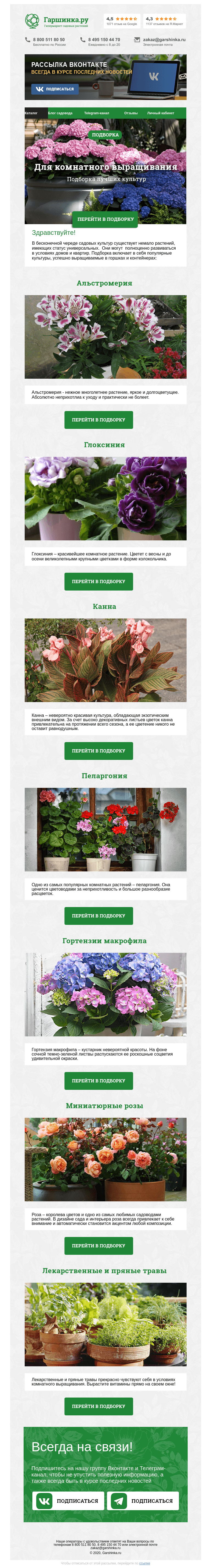 Письмо компании «Гаршинка.ру» на тему «🌸🌿🌼 Для комнатного выращивания»