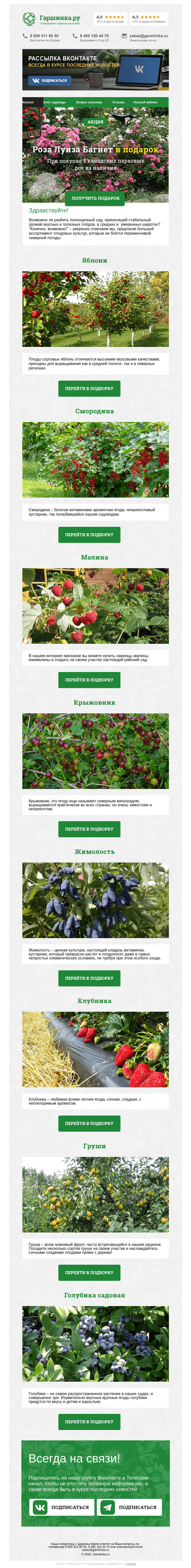 Письмо компании «Гаршинка.ру» на тему «🍎🍐🍇 Зимостойкие плодовые»