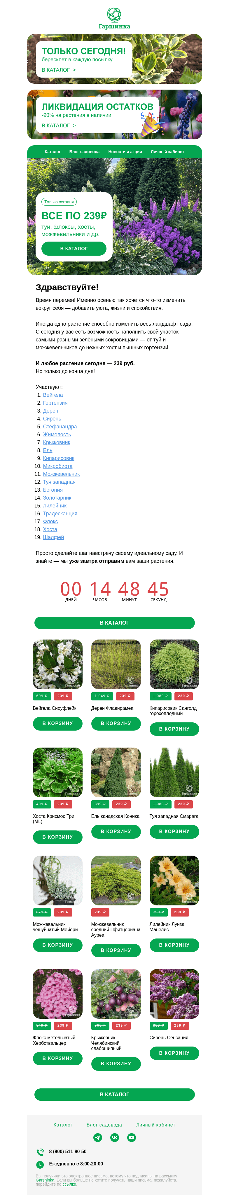Письмо компании «Гаршинка.ру» на тему «🍀 Сегодня всё по 239₽! Гортензии, туи, можжевельники, флоксы и др.»