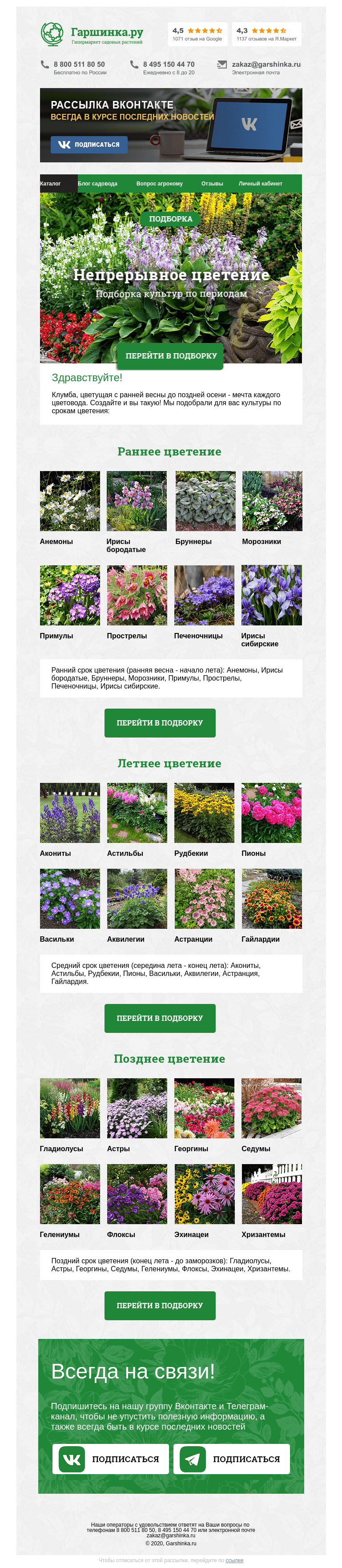 Письмо компании «Гаршинка.ру» на тему «🌼🌸🌻 Непрерывное цветение»