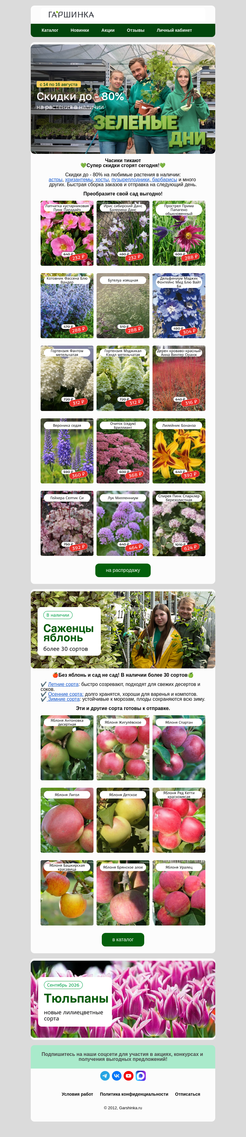 Письмо компании «Гаршинка.ру» на тему «⏰Часики тикают! Зеленые дни заканчиваются💚»