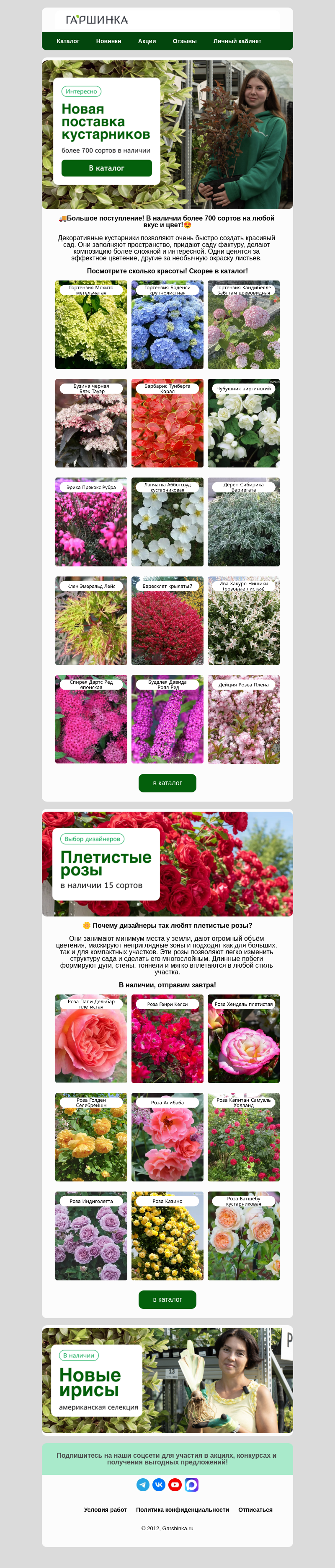 Письмо компании «Гаршинка.ру» на тему «🚚Поступление декоративных кустарников! Более 700 сортов в наличии!🍃»