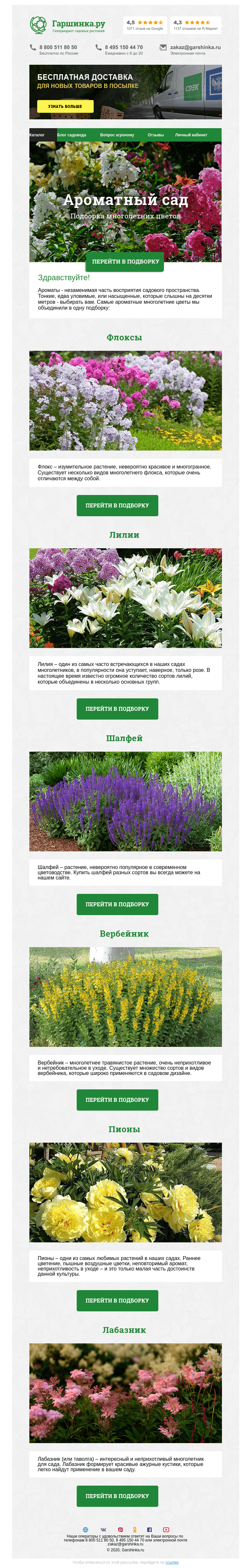 Письмо компании «Гаршинка.ру» на тему «🌺🌻🌸 Ароматные многолетние цветы»