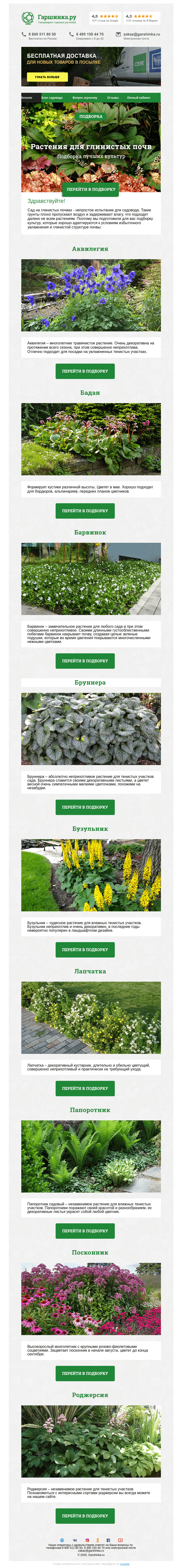 Письмо компании «Гаршинка.ру» на тему «🌱 Растения для глинистых почв»