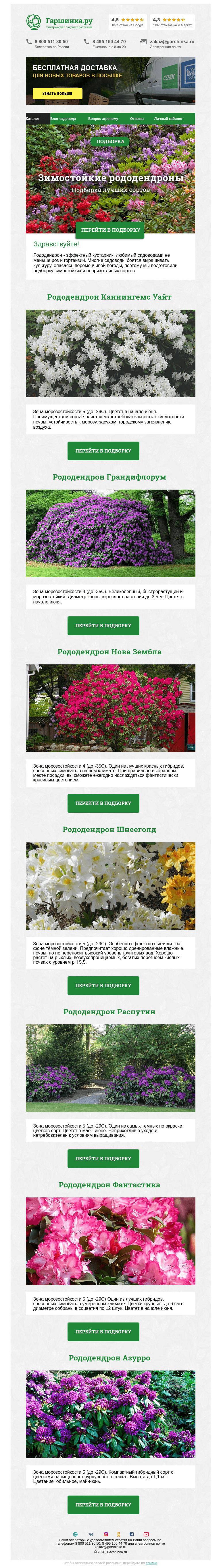 Письмо компании «Гаршинка.ру» на тему «🌺 Зимостойкие рододендроны»