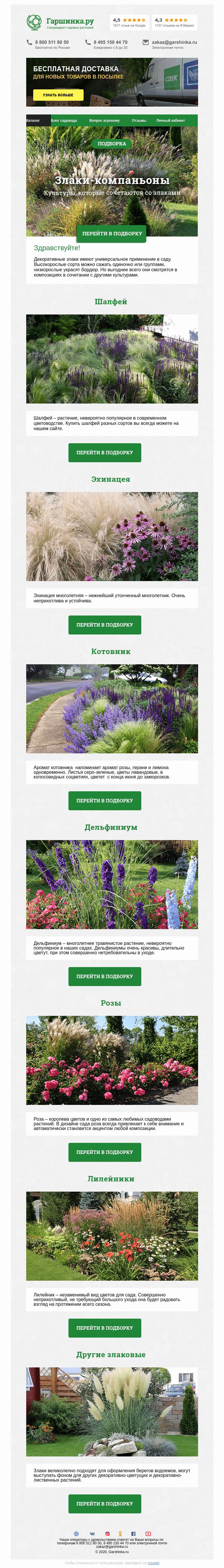 Письмо компании «Гаршинка.ру» на тему «🌹🌾🌼 Злаки - компаньоны»