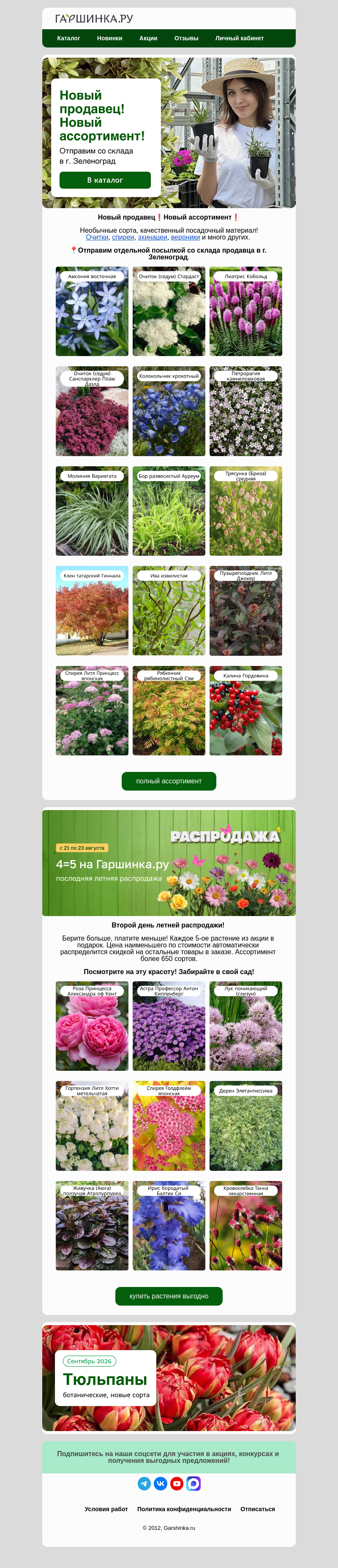 Письмо компании «Гаршинка.ру» на тему «👩‍🌾Новый продавец! Редкие сорта🌟»