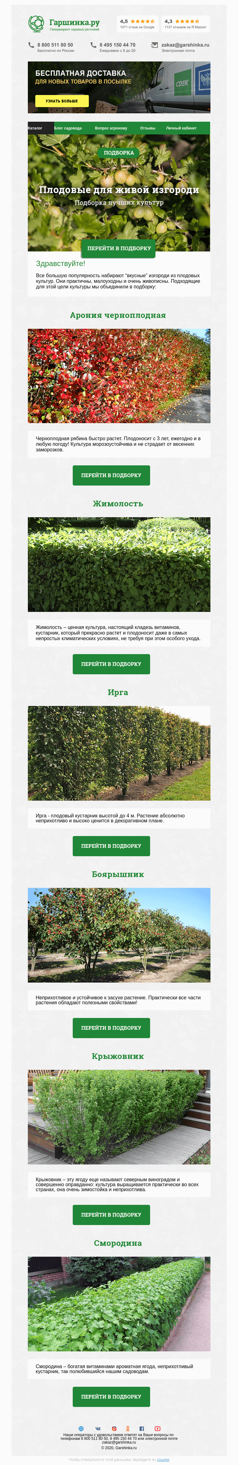 Письмо компании «Гаршинка.ру» на тему «🌿🍈🌳 Плодовые для живых изгородей»