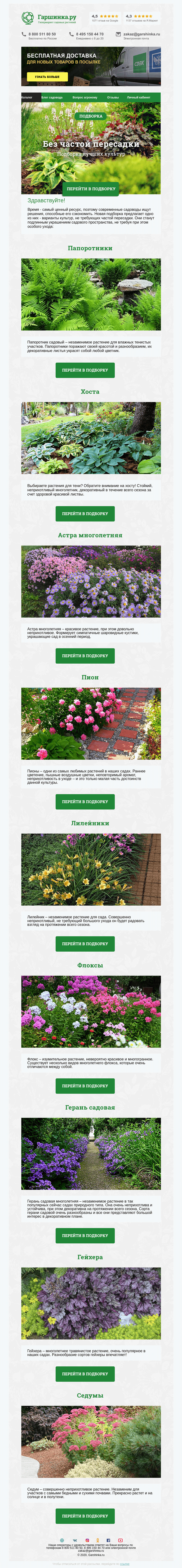 Письмо компании «Гаршинка.ру» на тему «🌱🌻🌾🌼 Растения, которые не требуют частой пересадки»