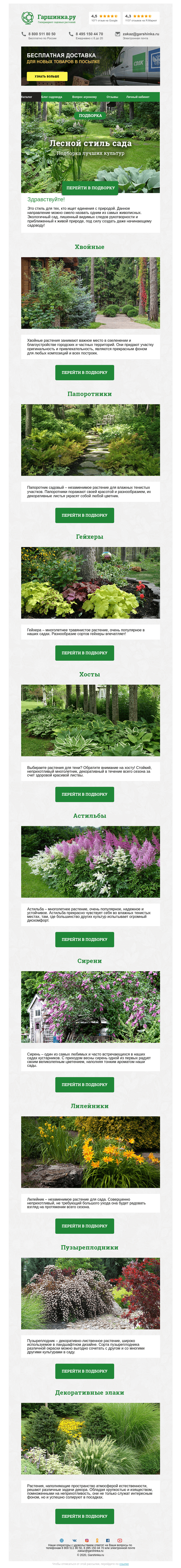 Письмо компании «Гаршинка.ру» на тему «🌲🌻🌸🌳 Лесной стиль сада»