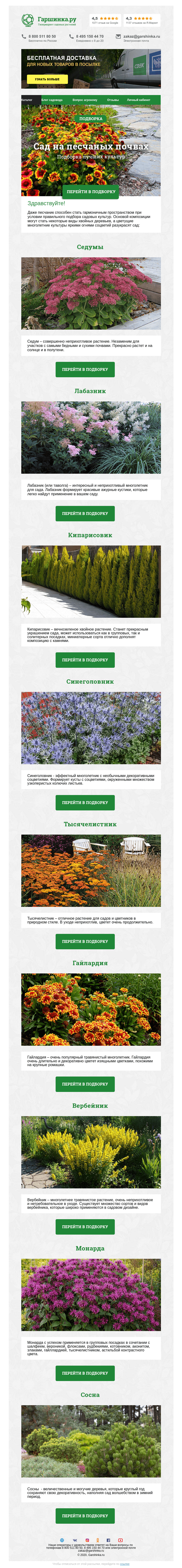 Письмо компании «Гаршинка.ру» на тему «🌲🍃🌸🌿 Многолетники для песчаных почв»