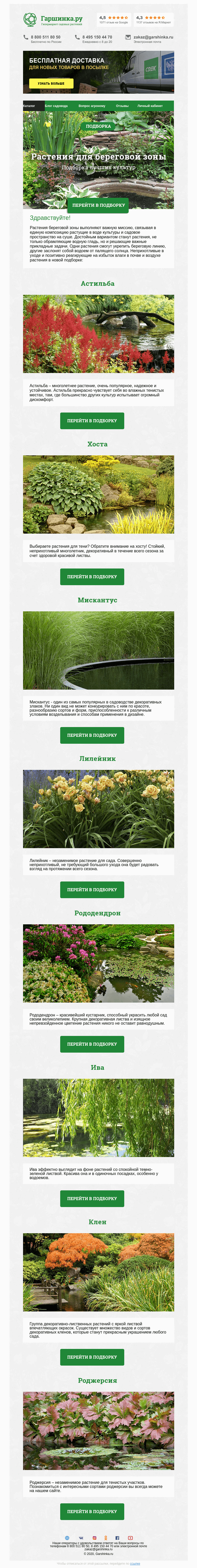 Письмо компании «Гаршинка.ру» на тему «🌱💧🌾 Растения для оформления береговой зоны»