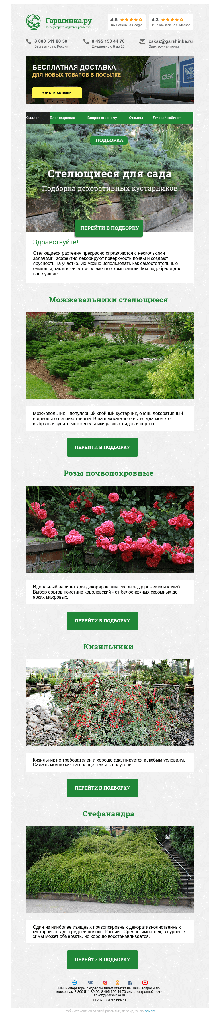 Письмо компании «Гаршинка.ру» на тему «🌿 Стелющиеся кустарники для сада»