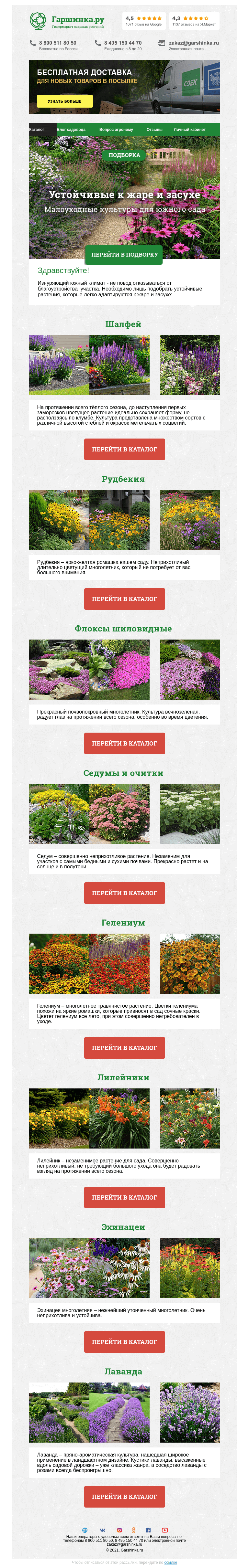 Письмо компании «Гаршинка.ру» на тему «🌿☀🌻🌸 Устойчивые к жаре и засухе культуры»